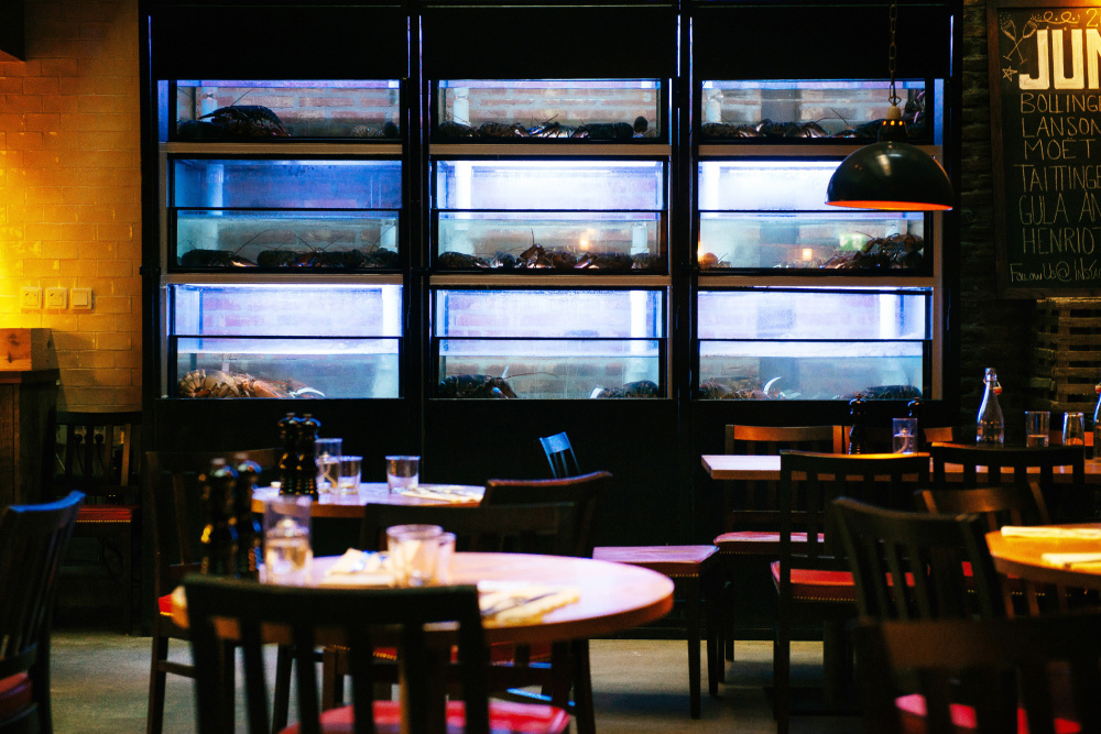 Tanks holding North American lobsters line the dining area at the Stockholm, Sweden, franchise of Burger & Lobster, a London-based restaurant chain that is reportedly the biggest importer of live lobster in Europe. Restaurateurs want regulators to consult them before instituting a ban on lobster imports.