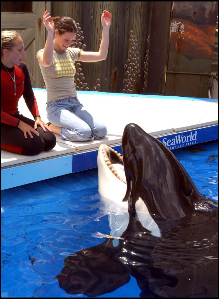 Actress Evangeline Lilly plays with a whale at SeaWorld Orlando in this May 2005 photo.