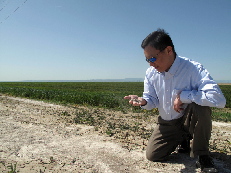 Daniel Kim looks at the salt-laden soil that forced Westlands Water District to retire land where he now wants to build a 30,000 acre solar farm near Lemoore, Calif.