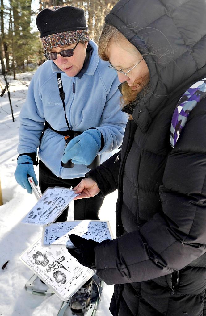 Leigh Hayes of Bridgton and Miriam Gibely of Sweden use charts to identify tracks found at the Holt Preserve in Bridgton.