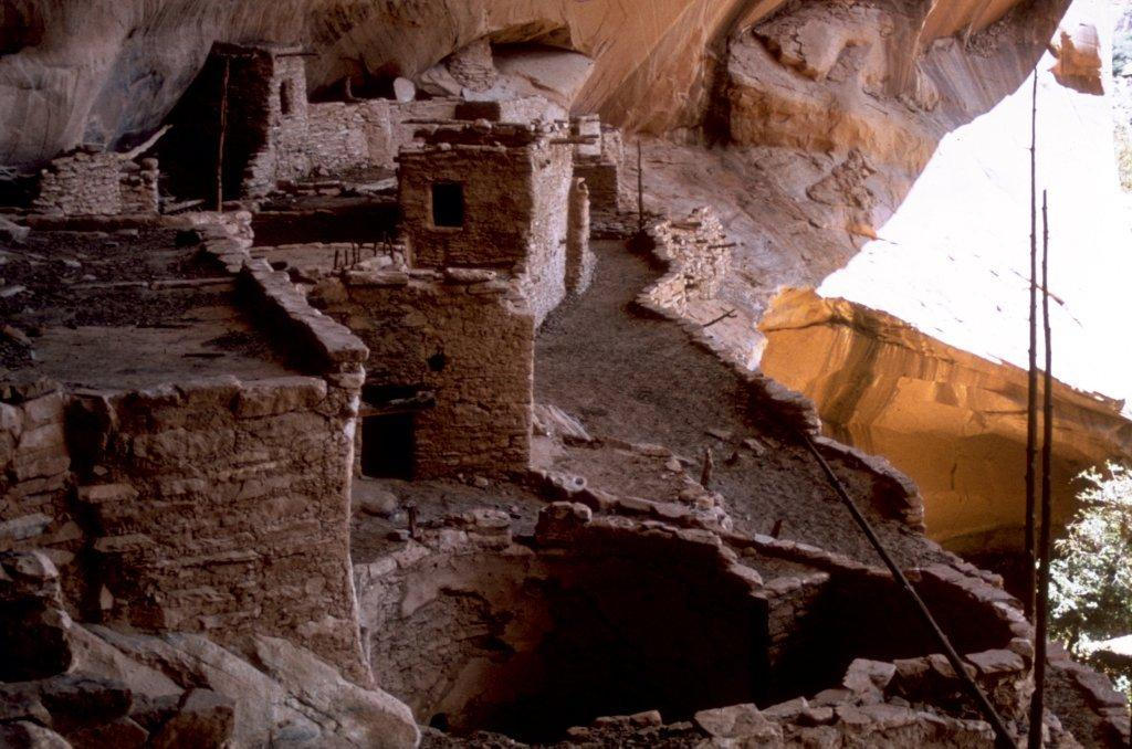 Well-preserved cliff dwellings are the highlight of the Navajo National Monument.