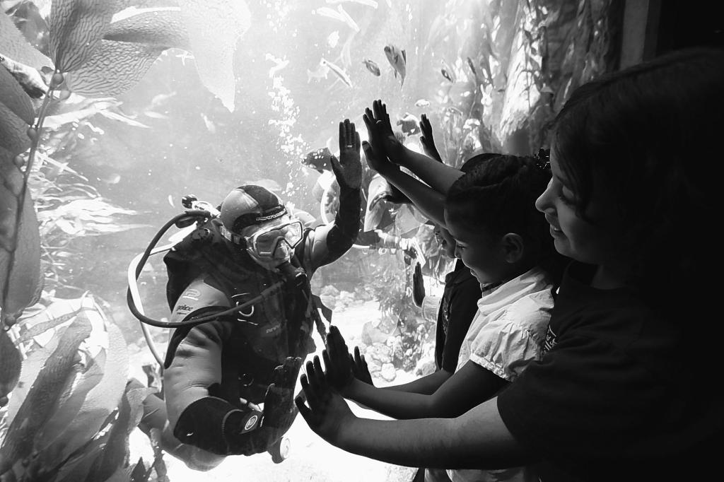 Children interact with a diver inside a 188,000-gallon tank populated with more than 1,500 fish, kelp and other marine life. It is part of the new Ecosystems Experience, an exhibition that features a blend of live animals and hands-on science exhibits in 11 environments at the California Science Center in Los Angeles. The exhibit opens to the public Thursday.
