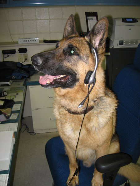 Jasou, one of Scarborough’s two police dogs, died in February from a lung condition. Local groups and businesses have donated money to the department for a new dog.