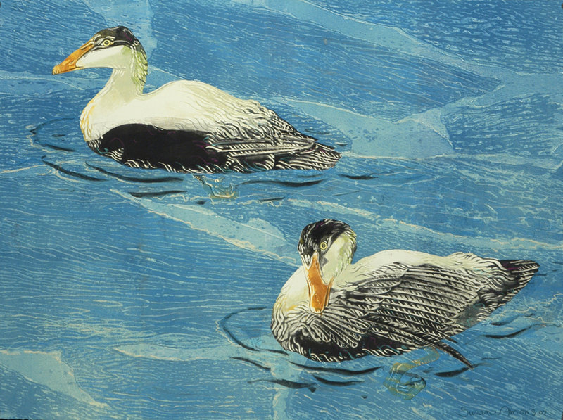 “Eiders on a Blue Sea II” by Susan Amons, 2008, monotype with pastel.