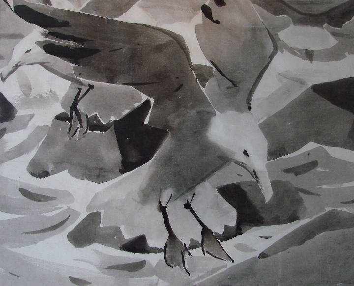 "Gull, Monhegan" by James Fitzgerald
