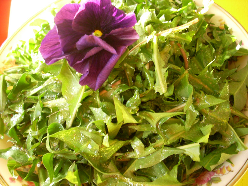 Dandelion salad, topped by a pansy and a dressing with extra vinegar to balance the greens’ bitterness, is a healthy spring choice.