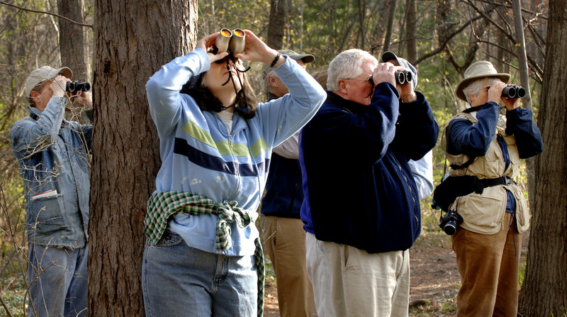 Birders search for specimens at Evergreen Cemetery in Portland.