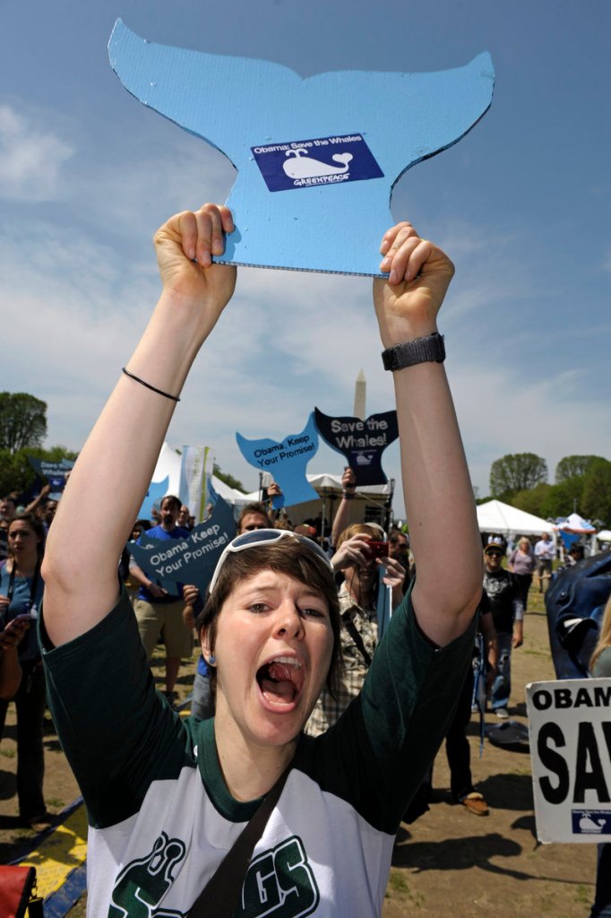 Carolyn Auwaerter of Philadelphia, Pa., takes part ina rally Thursday on the Mall in Washington against commercial whaling. The man who coordinated the first Earth Day in 1970 says some of the passion has faded.