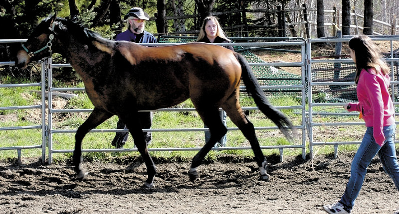 Danya Bent watches a horse during a round-penning exercise at Albertson’s Quarter Horse farm in Madison as Kurt Keschl, a homeless man who is learning how to care for and ride horses, speaks with trainer Meagan Simard outside the riding ring.