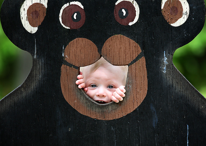 Jaxson Grivois, 14-months-old, of Belgrade peeks through the bear cutout as he poses for a picture in the picnic area at the Maine Wildlife Park in Gray on Saturday.