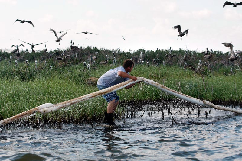 A Plaquemines Parish employee lays oil-absorbent boom as pelicans leave their nests on an island in Barataria Bay, just inside the coast of Louisiana, on Saturday. The island is home to hundreds of brown pelican nests as well as terns, gulls and roseated spoonbills.