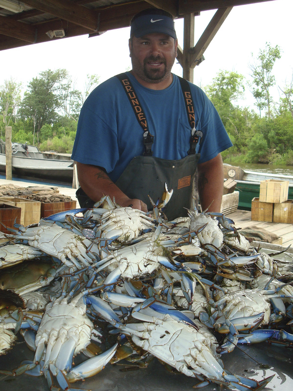 Kenny LeFebvre of Hopedale, La., packages blue crabs he hauled in before the fishing grounds were closed in the waters around St. Bernard Parish, La. LeFebvre worries how he will support his six children.