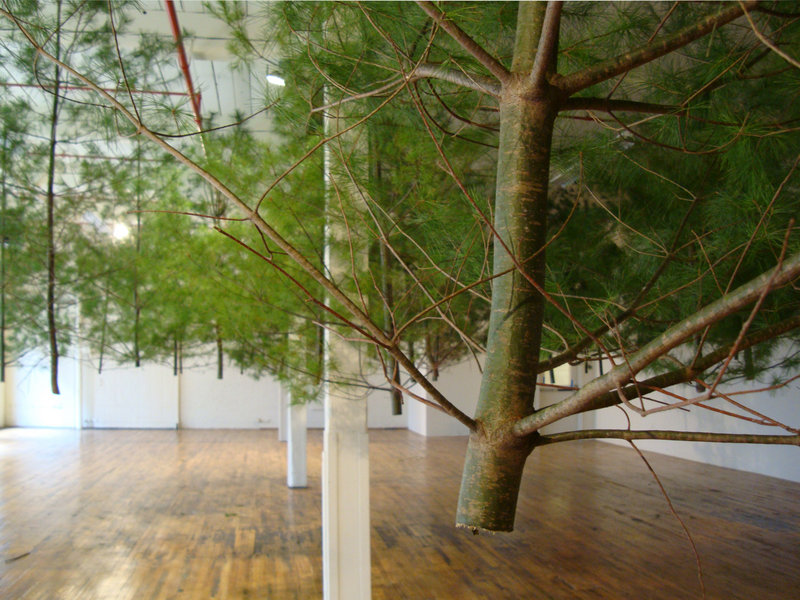 Now showing at the Coleman Burke Gallery in Brunswick is "Timbered (pitch)," an installation by Jacob Galle.