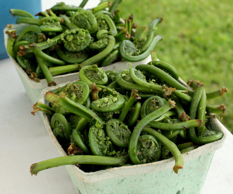 Bright, grassy, astringent, just-bitter-enough fiddleheads: The season just started, and it’ll be over very soon.