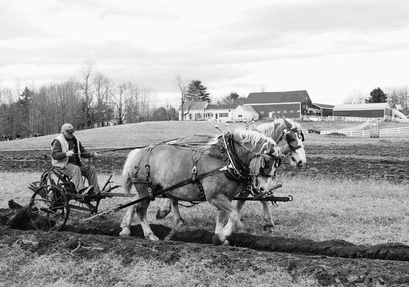 Skilled plowman J. Luther Gray and a team of draft horses demonstrate how to cut deep sod to prepare the ground for planting at the 2009 Plow Day at Skyline Farm in North Yarmouth. Skyline Farm will host a free plowing demonstration Saturday, starting at 9 a.m.