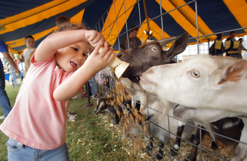 Ahvayshia Gadbois of Portland feeds goats at the La Kermesse festival in Biddeford in 2008.