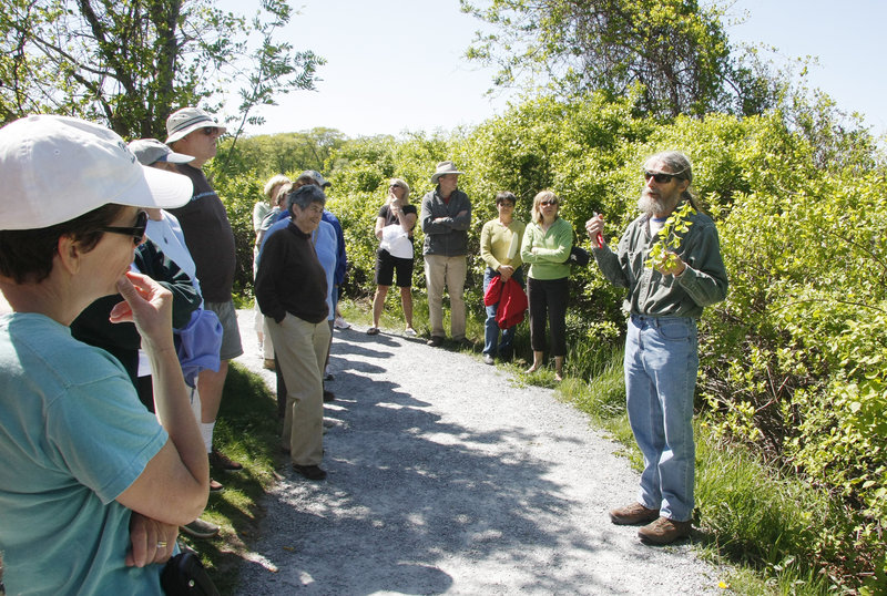 Rick Churchill, right, a horticulturalist and former Cape Elizabeth tree warden, discusses the invasive plant bittersweet while leading an informational walk Sunday about a proposed arboretum for Fort Williams Park.