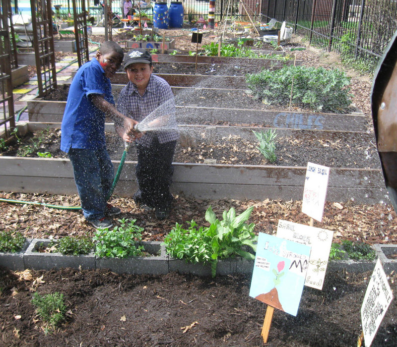 Professional gardeners say the sooner children begin sprouting their green thumbs, the better, because gardening fosters independence and responsibility.