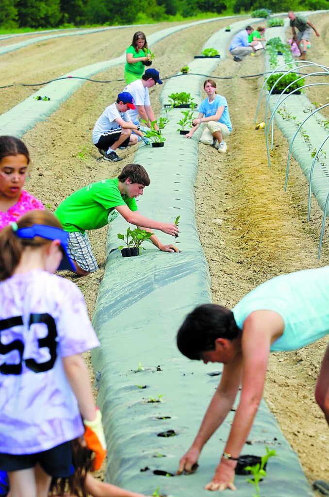 The Food for Families garden project in York is in its third year and has produced more than 7,000 pounds of produce.