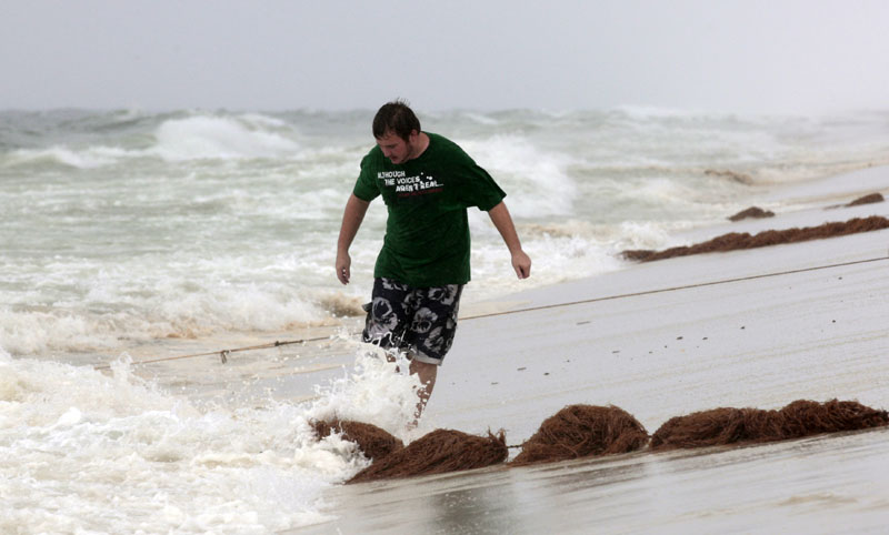 Brandon Brewer of Milton, Fla., walks among oily absorbent booms strung along the coast in Pensacola Beach, Fla., today.