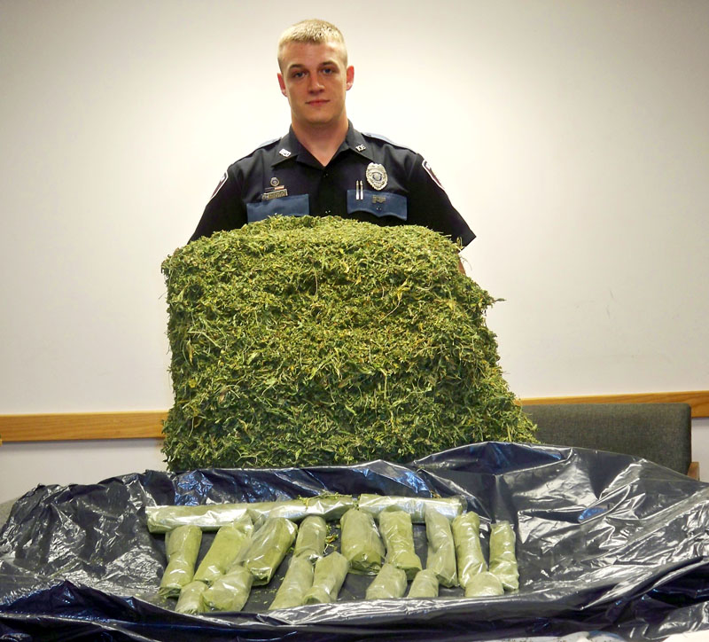 Bridgton Officer T.J. Reese poses with marijuana seized in raid.