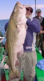 Don Prior proudly struggles to hold up his 49-pound Tackle-Buster cod.