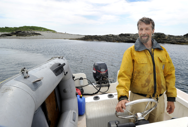 Scott Hall, Audubon research coordinator on Stratton Island, says that of the 14 nesting seabird islands in the Gulf of Maine managed by biologists, Stratton is the only one open to the public.