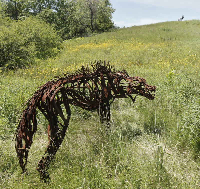 Sculptures by artist Wendy Klemperer roam Maine Audubon at Gilsland Farm in Falmouth. There are 22 sculptures placed along the trails, including elk, caribou, wolves and porcupine.