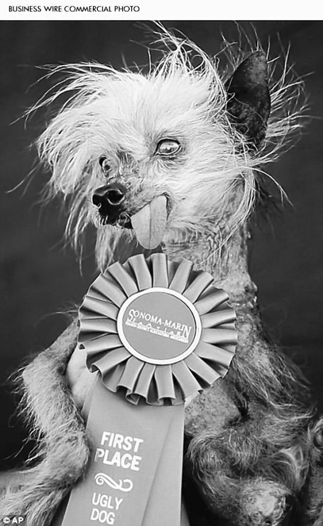 Miss Ellie, a small, bug-eyed Chinese Crested Hairless dog whose pimples and lolling tongue helped her win Animal Planet’s “World’s Ugliest Dog” contest in 2009, has died at age 17 after a career in resort show business in the Smoky Mountains.