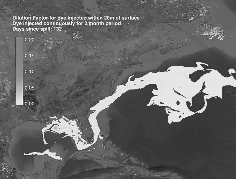 The Associated Press This computer image from Thursday shows that oil leaking into the Gulf of Mexico could possibly get carried on currents across the Atlantic Ocean.