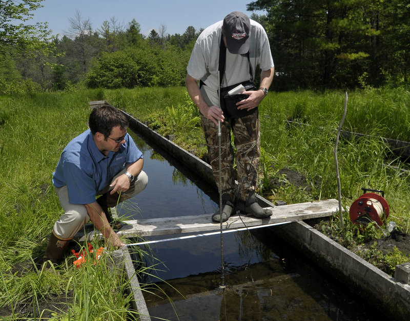 Mark Dubois, a geologist for Poland Spring, guides reporter Ray Routhier as he uses a flow rod and portable flow meter to measure the flow of spring runoff as it heads for a trout hatchery.