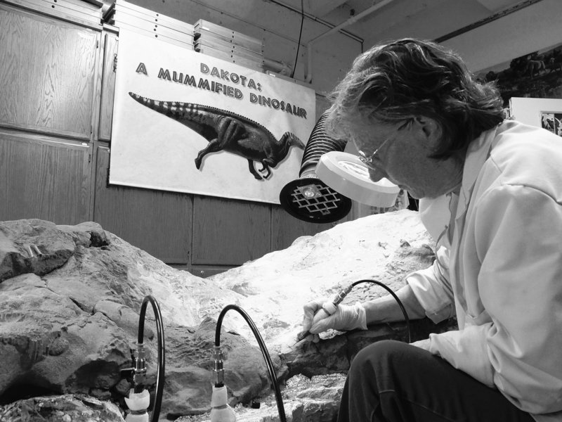 Amy Sakariassen uses a miniature jackhammer to chip away at a 66 million-year-old dinosaur with fossilized skin Friday in Bismarck, N.D. Four workers have spent about 3,800 hours chipping away at Dakota, one of only a few mummified dinosaurs in existence. The dinosaur should be ready for display at the state museum early next year.
