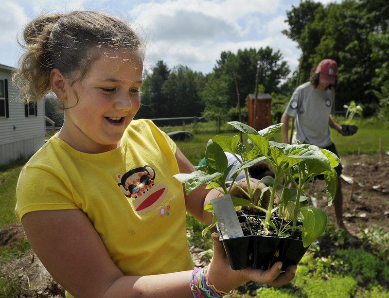 Lauryn Silva, 9, prepares to plant a sunflower seedling in the garden behind the George E. Jack Elementary School in Standish.