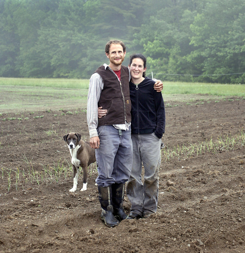 Outstanding in their field: Julia Davis and her fiance Andy McLeod, with Gabbie, in the 7,500-square-foot garden in Washington from which they hope to produce nearly all of the food for their September wedding dinner.