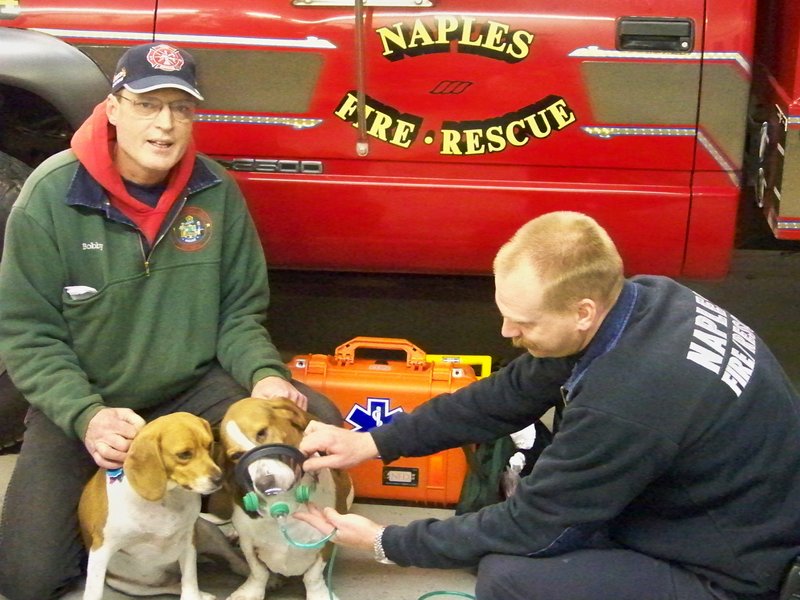 Naples Deputy Fire Chief Chris Burnham, right, demonstrates how to use a pet oxygen mask with Bobby Silcott's dog Elvis, while Silcott holds onto Elvis and his other dog, Priscilla.
