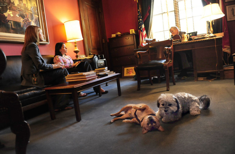 Pooley, left, and Tiger sit in on a meeting with Sen. Christopher “Kit” Bond, R-Mo., on Capitol Hill. Bond owns Tiger, a Havanese named for the University of Missouri mascot, who likes to lie under Bond’s desk and chew Kansas Jayhawks toys.