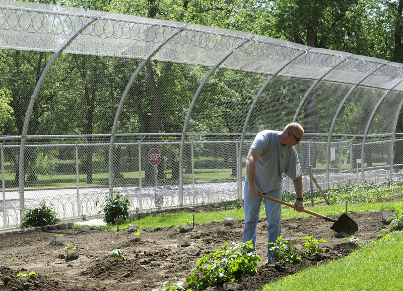 Donald DeMoss Jr., a patient at the Civil Commitment Unit for Sexual Offenders, tends to the garden on the grounds of the Cherokee Mental Health Institute in Cherokee, Iowa.