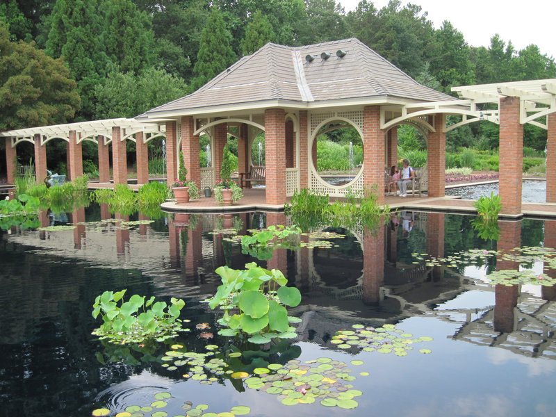 Water lilies fill the aquatic garden at the Huntsville Botanical Garden in Huntsville, Ala. – a distinct contrast to the nearby space center. The city is one of the Dozen Distinctive Destinations of the National Trust for Historic Preservation.