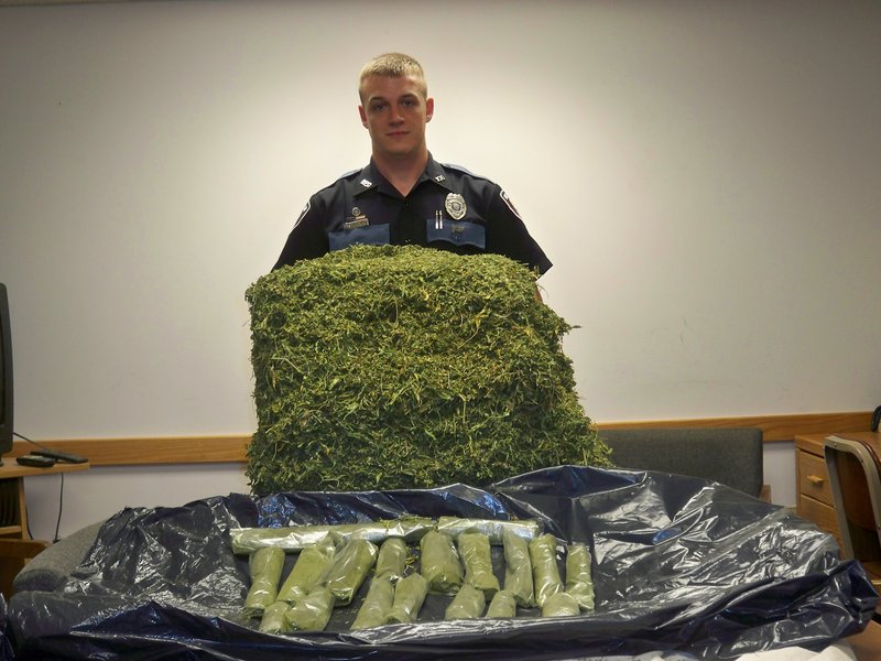 Bridgton police officer T.J. Reese is seen with marijuana seized in a raid on a Bridgton home. Officials seized 18 pounds of marijuana and 145 pot plants.
