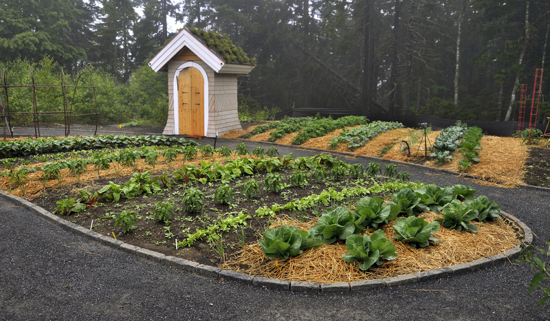 Active gardens for kids are part of the new addition to the Coastal Maine Botanical Gardens.