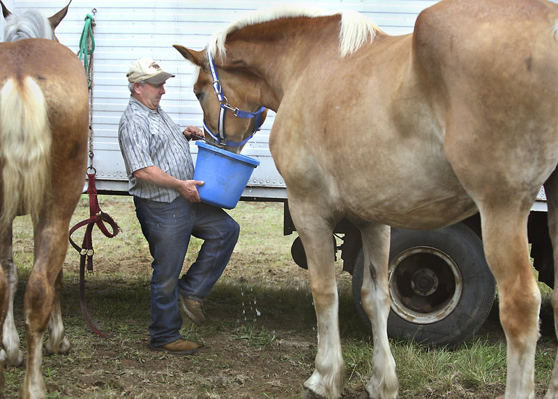 Harry Hutchinson of Hutchinson Farms in Andover waters his Belgian horse Gabbie after she was shown at the Ossipee Valley Fair.
