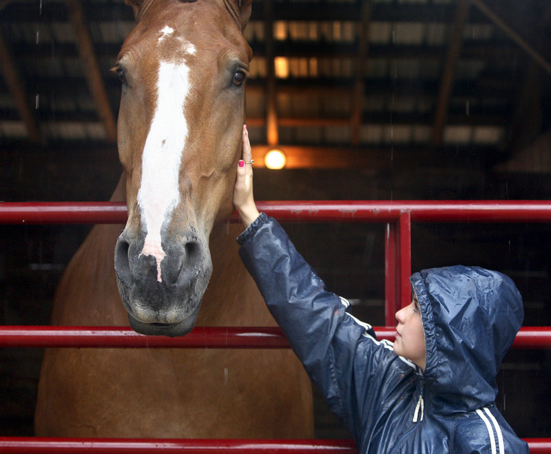 Zeus, at 21 hands and nearly 3,000 pounds possibly the largest living horse in the U.S., gets a pat from Brooke Eastman, 16, of Porter.