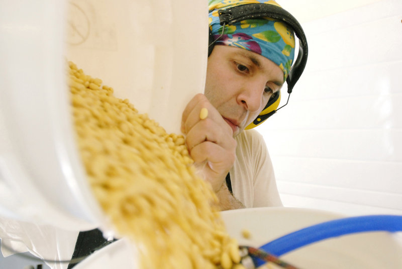 Jeff Wolovitz pours soybeans into a grinder. He soaks the soybeans overnight the day before he makes tofu. The soaked soybeans are then ground up into a puree and heated with water.