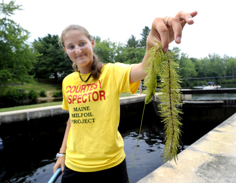 Kelly Baldwin serves as an inspector for the Lakes Environmental Association, monitoring boats for invasive aquatic plants as they pass through the Songo Locks in Naples. She’s holding milfoil, an unwanted weed that has been pushing into boating lanes in the Songo River and lower Sebago Lake because of ideal growing conditions.�