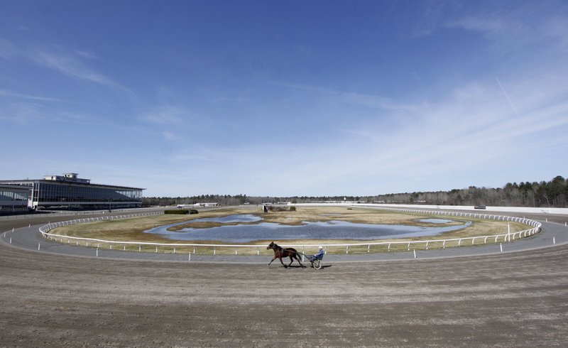 The crowds may not approach the heyday of the track, and thoroughbreds are now just a distant memory at the place, but Scarborough Downs, which has been in existence since 1950, not only remains a viable option for local entertainment, but provides a living for so many horsemen and horsewomen.