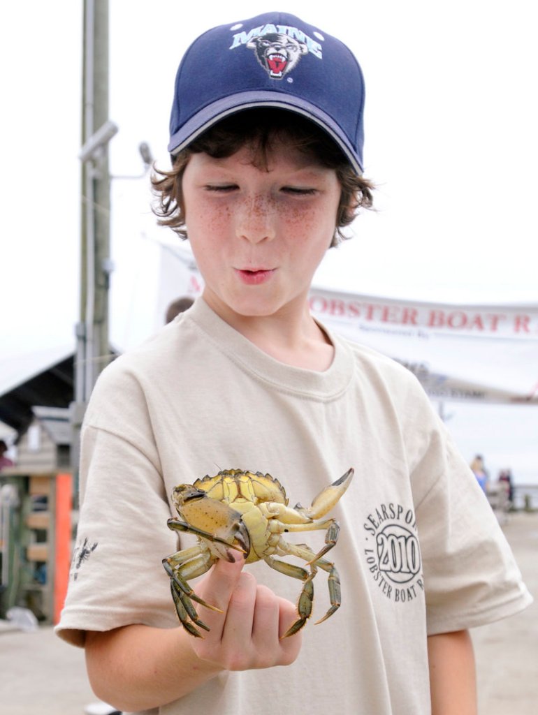 Colyn Rich, 8, holds a green crab caught by a friend on the town dock in Searsport. The townspeople gathered to catch the latest race in what has been a tradition for more than a century.