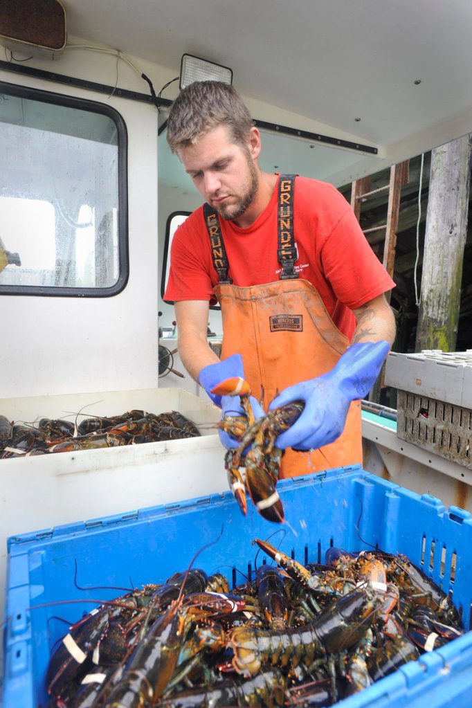 Tom Wood, 24, serves as sternman on Yarmouth fisherman Willis Spear’s lobster boat. “Rich people just have more money and get whatever they want,” Wood said Tuesday.