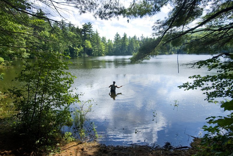 Attracting people to enjoy what Maine offers, thus boosting the economy, would be aided by a North Woods park, a reader says.