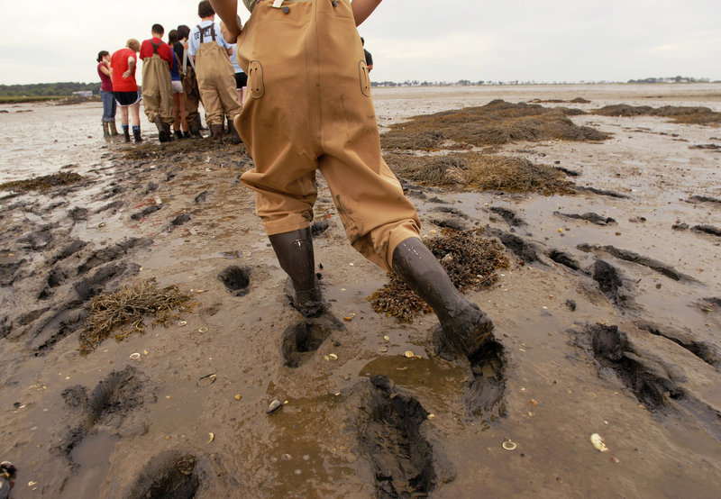 A high school student walks through the mud on her way to collect organisms on the mud flats near Biddeford Pool. The students are enrolled in the Coastal Marine Ecology Summer Program through the University of New England.