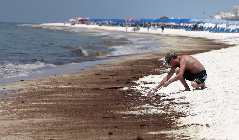 Mickal Vogt of Covington, La., uses a stick and a jar to gather tar balls that washed up on the shore in Orange Beach, Ala., in June. As the 100-day mark was passed Wednesday, the broken well has been essentially capped for two weeks, but the crisis is far from over.